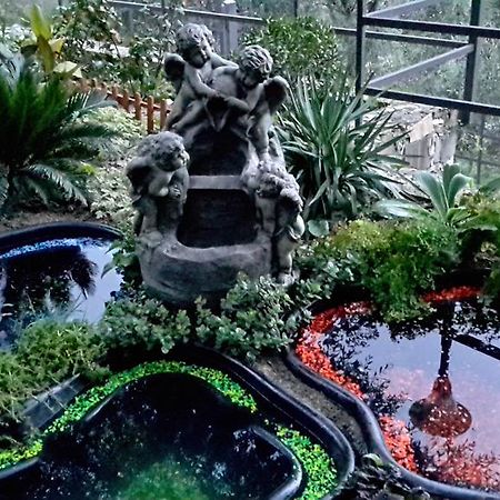 Villa Angel Rapallo Ngoại thất bức ảnh